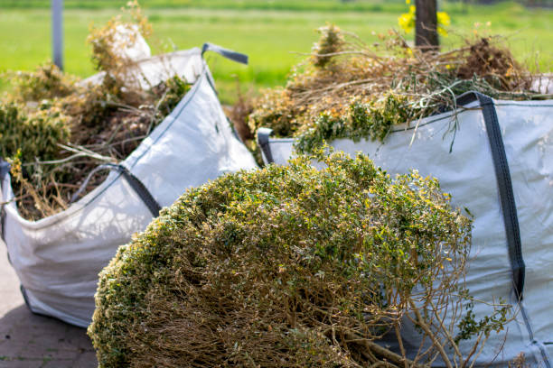 Best Trash Removal Near Me  in West Puente Valley, CA
